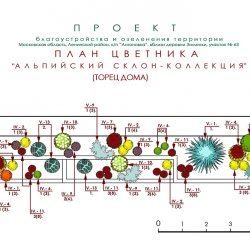 Проект участка зо соток - подпорные стенки и декоративные кустарники